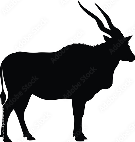 Konstfotografi Silhouette of a common eland antelope standing