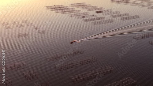 Oyster boat at sunrise on the Thau lagoon, Occitanie, France