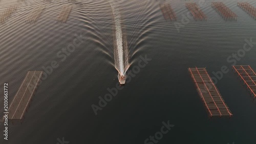 Oyster boat at sunrise on the Thau lagoon, Occitanie, France