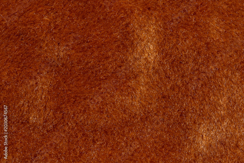 Slika na platnu bright ginger medium pile faux fur fabric texture