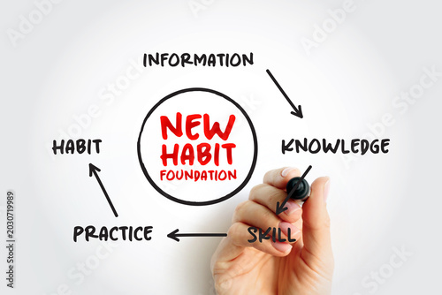 Tableau sur toile NEW HABIT FOUNDATION process map
