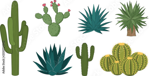 Photos Vector illustration set of green desert plants featuring saguaro cactus prickly pear agave succulents and barrel cacti isolated on white background for nature landscape design