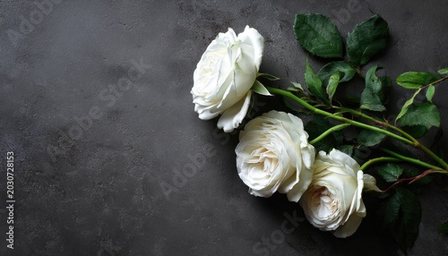 Three delicate white roses rest on a textured dark gray surface