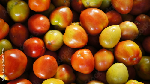 A close-up view of assorted tomatoes in various colors, including red and green. The tomatoes are fresh and ripe, showcasing their natural textures and shapes.
