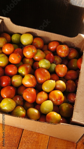 A box filled with ripe tomatoes in various shades of red and green. The tomatoes are fresh and glossy, arranged neatly inside the cardboard container.
