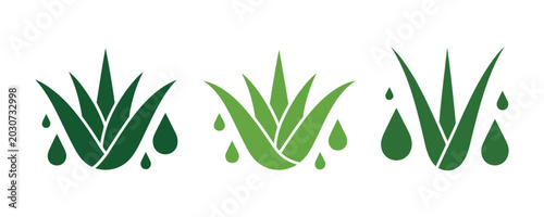 Tableau sur toile Natural aloe vera vector icon collection for skincare, herbal care, and organic wellness product design