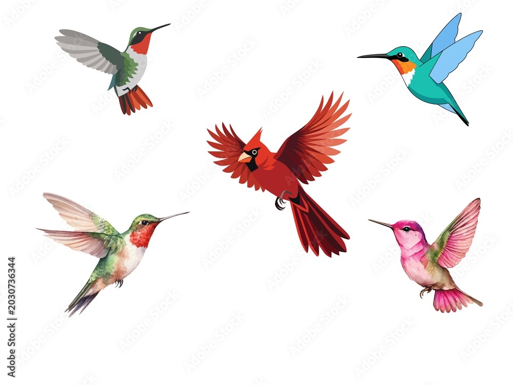 Fototapeta premium set of flying birds