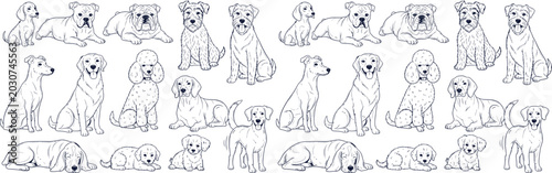 Variety of dog breeds in hand drawn sketch style featuring sitting and lying poses for pet shop and veterinary design
