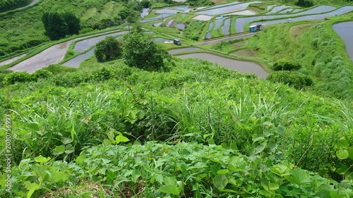 水田と空（大分県別府市内成）