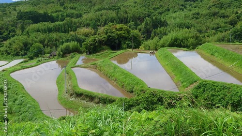 水田と空（大分県別府市内成）