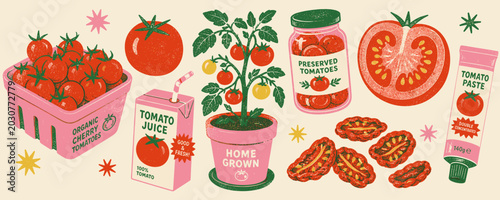 A vibrant collection of tomato products and a home-grown plant