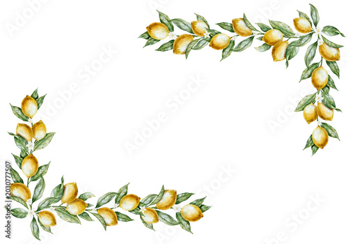 Watercolor Lemon Frame with Citrus fruits, leaves and blossoms. Illustration of botanical template with copy space for invitations, greeting cards, packaging and seasonal design. Border for kitchen
