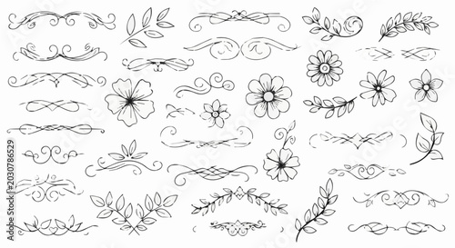Set of handdrawn floral dividers and decorative elements