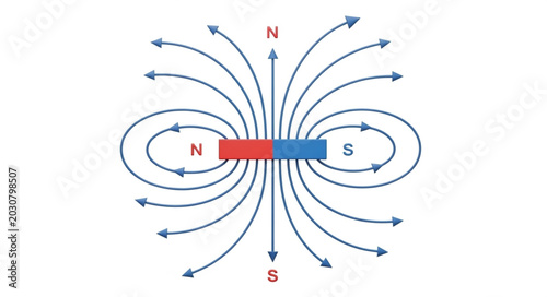 Fotografie Magnetic field lines around a bar magnet showing north and south poles