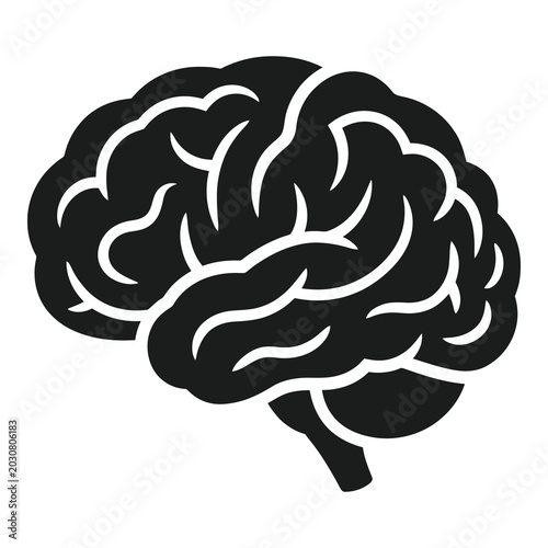 Fényképezés Stylized graphic illustration of a human brain with intricate folds and convolut