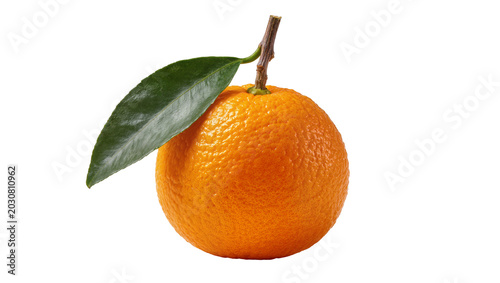 Fényképezés Orange fruit with stem and green leaf