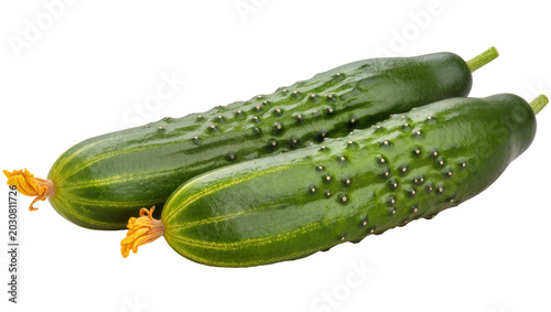 Schilderij op canvas Two fresh green cucumbers with yellow flower remnants