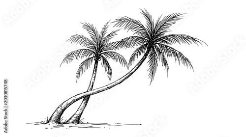 Two leaning palm trees swaying gently on a tropical island, evoking a sense of relaxation and escape