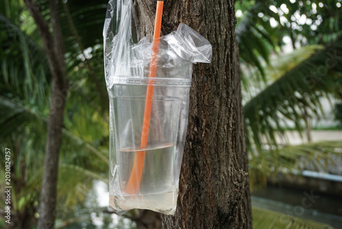 Photography Abandoned Plastic Cup with Straw Hanging on a Tree Trunk