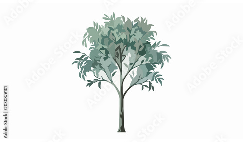 Realistic Eucalyptus Tree Vector Art Isolated on White Background