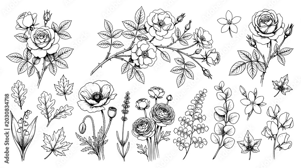 Fototapeta premium Flowers hand drawn set with intricate botanical details and delicate line work featuring floral, nature, plants with leaves and roses elements for