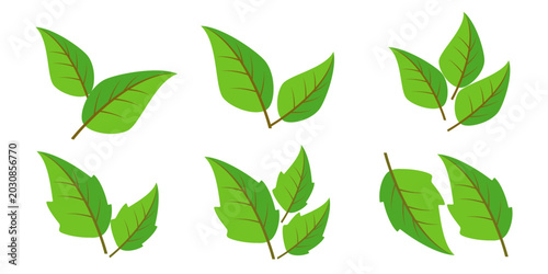 Fotografija Leaf vector symbol, leaf illustration or leaf emoji in flat style