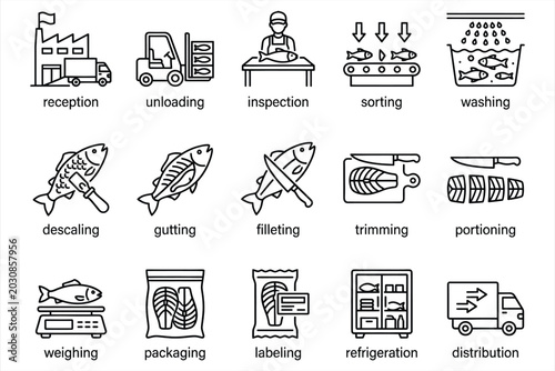 Photos Comprehensive fish processing workflow infographic icons depicting reception unl