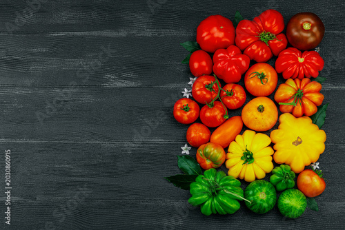 Принти на полотні Assorted homegrown heirloom tomatoes with small flowers on a dark wooden background
