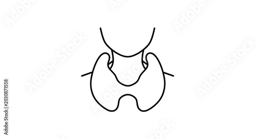 Fotografie Artistic rendering of the human thyroid gland and surrounding structures conveying anatomical precision and biological symbolism for medical and educational purposes a clear line art representation