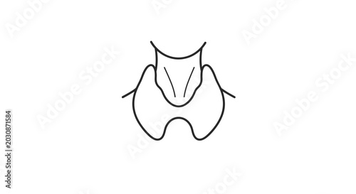 Cuadro en lienzo A delicate outline rendering of the human thyroid gland depicting its essential anatomical structure with clear lines for medical scientific and educational representation conveying biological form