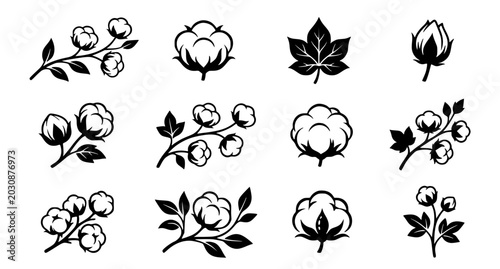 Photos Elegant Cotton Plant Boll Branch Vector Symbols for Textile and Agricultural Des