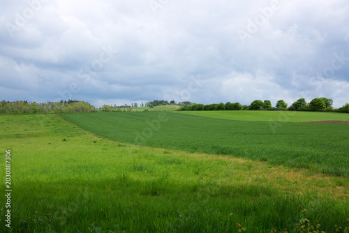 Green grass field with trees and against clouds sky.