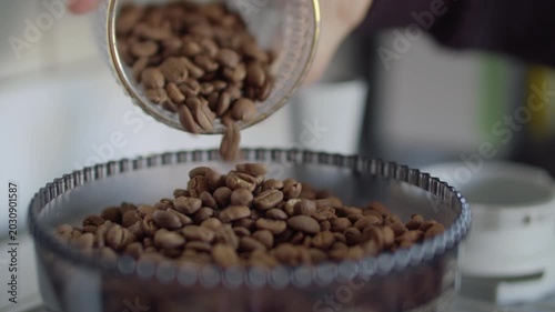 Pouring Roasted Coffee Beans into Grinder Bowl