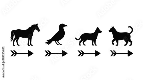 Tableau sur toile Black and white of four different animals walking in a row horse