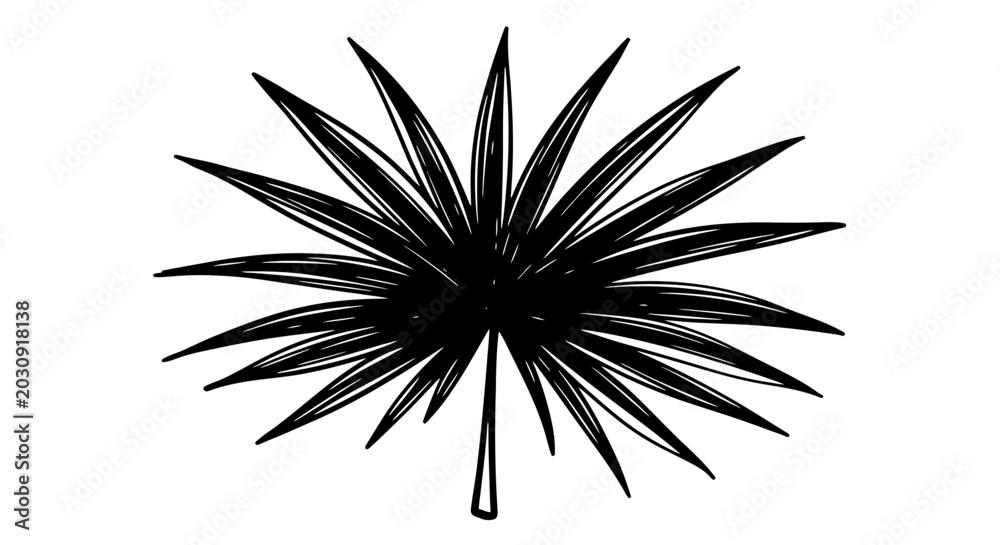 Fototapeta premium Black and White Palm Leaf Silhouette - Tropical Plant Icon