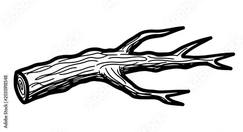 Konstfotografi Isolated wooden branch with sharp prongs on white background, line art illustrat