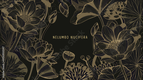 Obraz na plátne A detailed golden vector illustration showcases lotus flowers seed pods and foli