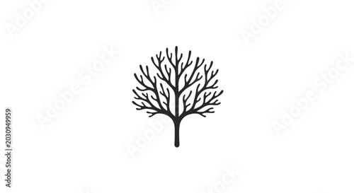 Photos Bare tree silhouette in black color.
