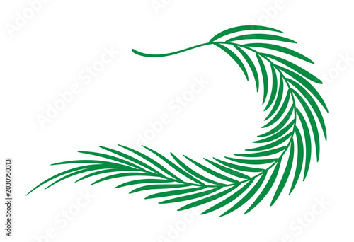 Tropical leaf, palm frond, laurel wreath, olive tree branch frame. Foliage, flora, plant, botanical design element. Summer clip art. Border with copy space. Hand drawn flat vector illustration