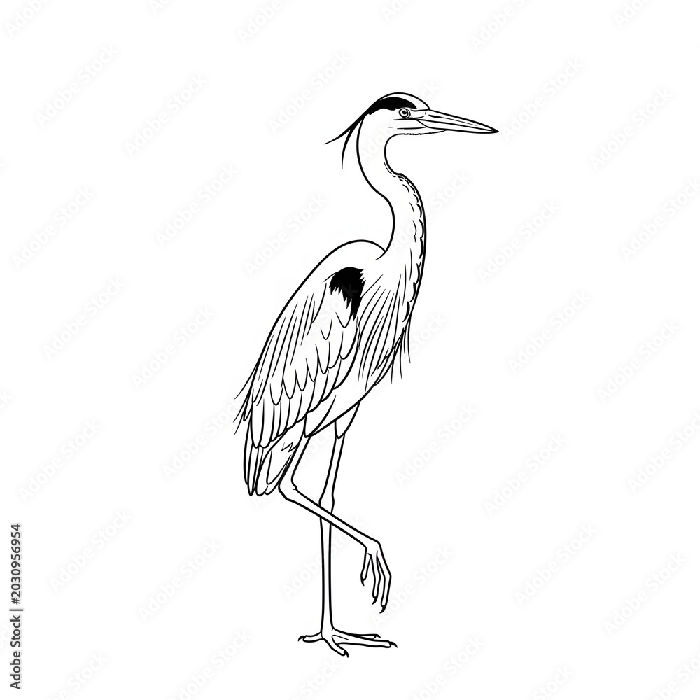 Fototapeta premium Heron bird lifting leg line art coloring page, elegant egret outline illustration vector drawing