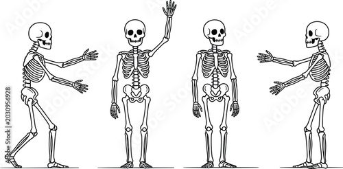 Photos Skeleton vector illustration set with human bony characters in different poses i