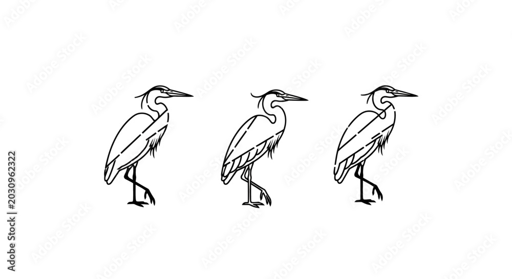 Fototapeta premium Three Illustrated Herons Standing in Simple Line Art Style.