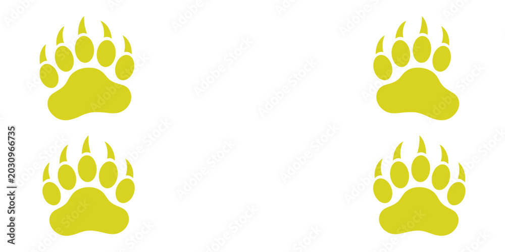 Fototapeta premium Four yellow bear paw prints with visible claws arranged on a clean white background, animal track