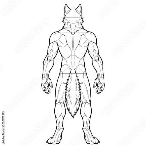 Hand drawn ink line art of muscular male wolf anthropomorphic furry base back view isolated on white.