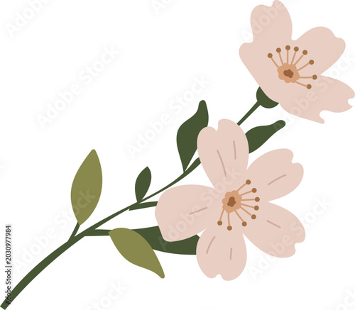 Pink Cherry Blossom Illustration. Sakura Flower Isolated Icon. Rose Patel Bad Floral Symbol. Romantic Wedding Decoration Element. Spring Garden Natural Mascot. Elegant Aesthetic Tea Ceremony Decor Art