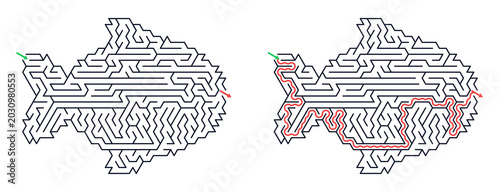 Fish-shaped maze design with solved and unsolved paths  