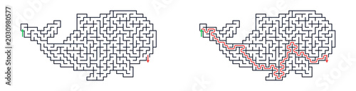Whale maze puzzle design with maze paths outlined in red  