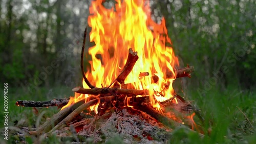 Intense bonfire flames rising high from burning logs and branches outdoors, macro shot of hot campfire combustion with flying sparks and smoke in green summer forest camping site, detailed texture 4K
