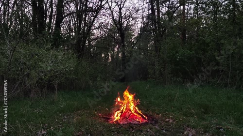 Atmospheric night campfire burning in dark forest at dusk, lonely glowing bonfire with warm orange light illuminating wild trees at twilight, peaceful evening landscape background for meditation