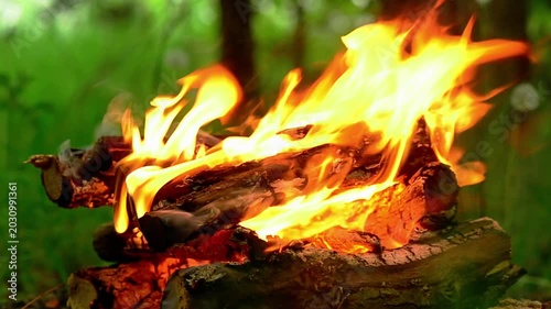 Intense bonfire flames burning wood texture close up, abstract fiery background with explosive orange and yellow light, high quality slow motion video of real campfire combustion element for editing